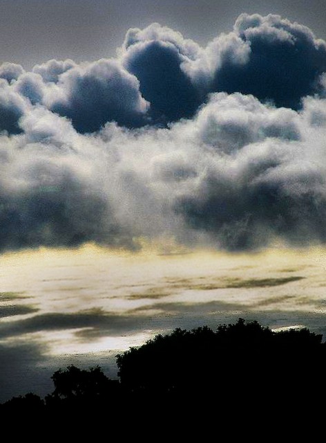 Cloudbank over silver/gold sea (#2, vertical), Big Sur, California
