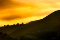 Last golden light, Big Sur, California
