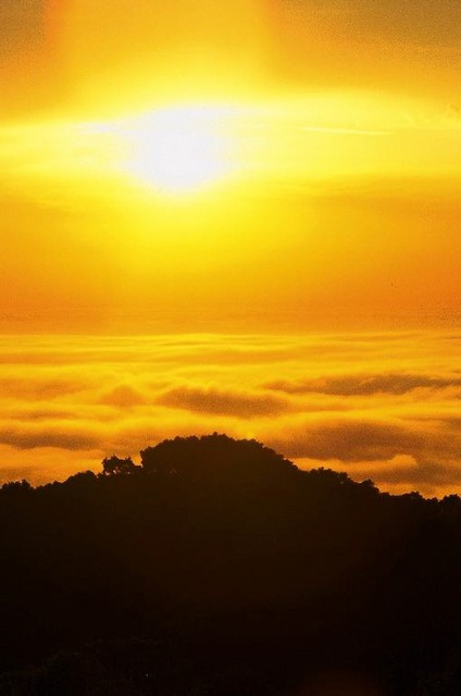 White-light fireball in gold, Big Sur, California