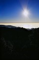 Starfish rays shine silver (#2, vertical)... Big Sur, California
