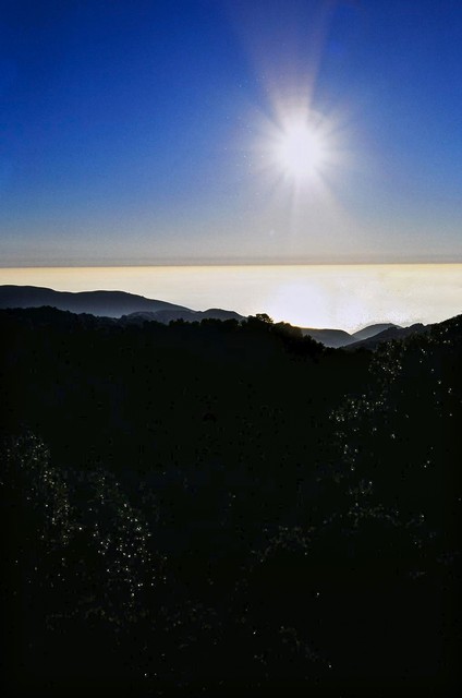 Starfish rays shine silver (#2, vertical)... Big Sur, California