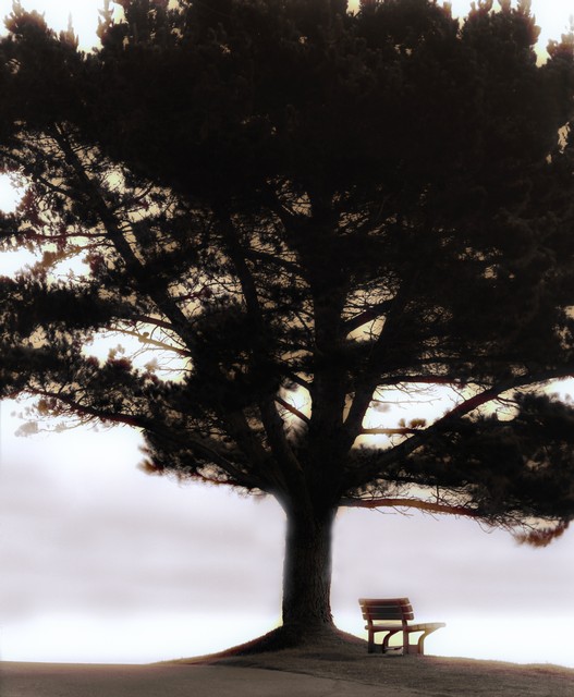 ...Lookout-spot above the Pacific, Big Sur, California