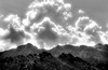 Sunlight after fallen rain (#3, black and white)... Chuckwalla Valley, California