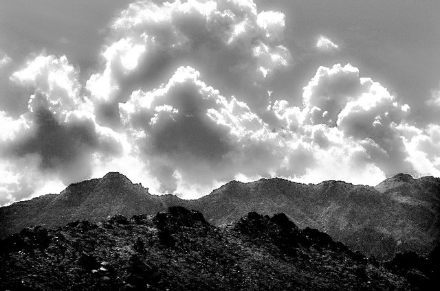 Sunlight after fallen rain (#3, black and white)... Chuckwalla Valley, California