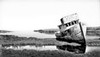 The Point Reyes on Tomales Bay (#1), Inverness, California