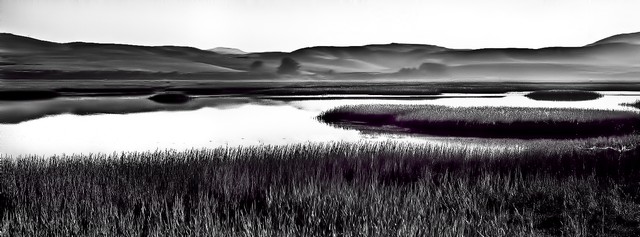 Morning light on Tomales Bay (#3), Inverness, California