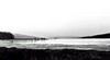 Dock on Tomales Bay (#4), Inverness, California