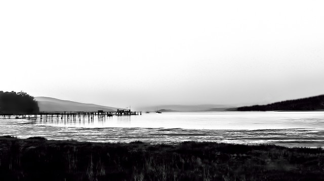 Dock on Tomales Bay (#4), Inverness, California