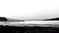 Dock on Tomales Bay (#4), Inverness, California