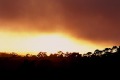 Sunset and fog (#1), Tomales Bay, California