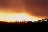 Sunset and fog (#1), Tomales Bay, California