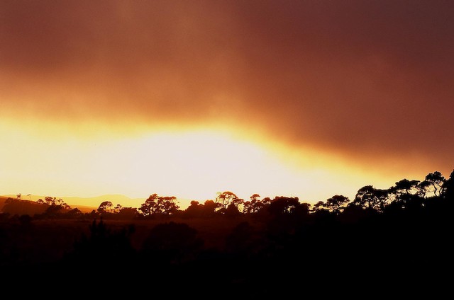 Sunset and fog (#1), Tomales Bay, California