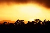 Sunset and fog (#2), Tomales Bay , California
