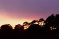 Sunset and fog (#3), Tomales Bay , California