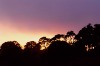 Sunset and fog (#3), Tomales Bay , California