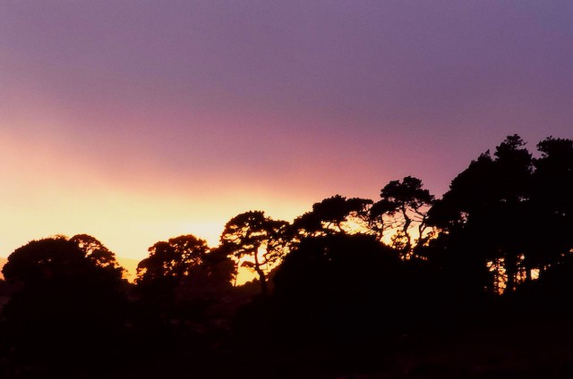 Sunset and fog (#3), Tomales Bay , California