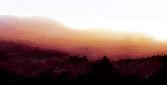 Coastal plain above Tomales Bay (#4)... California