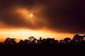Setting sun seen through fog (#5)... Tomales Bay, California