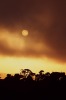 Setting sun and fog (#6, vertical)... Tomales Bay, California