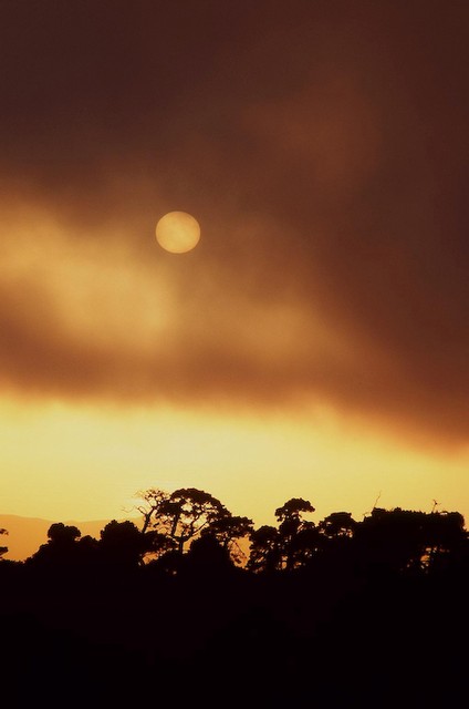 Setting sun and fog (#6, vertical)... Tomales Bay, California