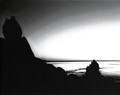 Rocky outcrop near Monastery Beach, Carmel, California