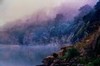 Primeval scene #1 -- Gualala River in fog, Mendocino County, California