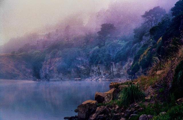 Primeval scene #1 -- Gualala River in fog, Mendocino County, California