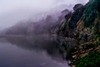 Primeval scene #2 -- Gualala River in fog, Mendocino County, California
