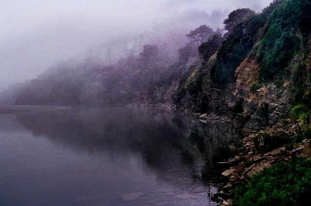 Primeval scene #2 -- Gualala River in fog, Mendocino County, California