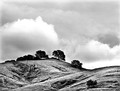 Cloudy day near Loma Prieta Peak (#1, black and white), Santa Clara County, California