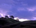 Cloudy day near Loma Prieta Peak (#2, color)), Santa Clara County, California