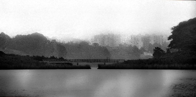 The City in fog... Lake Merced (#2), San Francisco, California