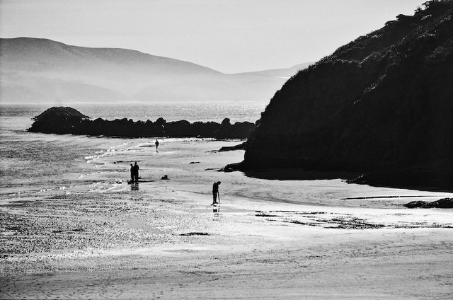 Beachcombers at Bodega Bay, Sonoma County, California