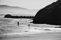 United States - California - Sonoma County - Bodega Bay