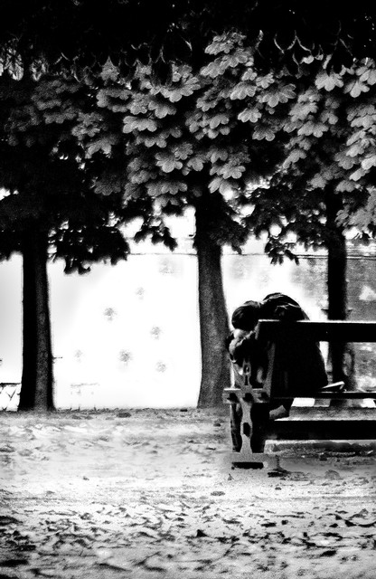 Taking sanctuary in a Paris park, France
