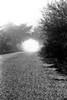 Road in fog outside Paris, France