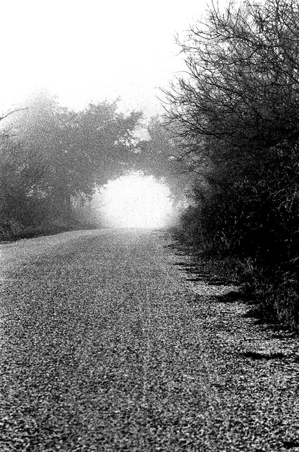 Road in fog outside Paris, France