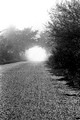 Road in fog outside Paris, France