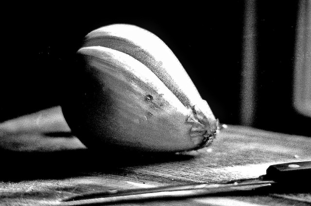 Onion and knife, Steilacoom, Washington