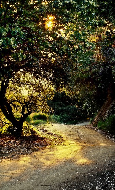 Backroad in the Big Sur, California
