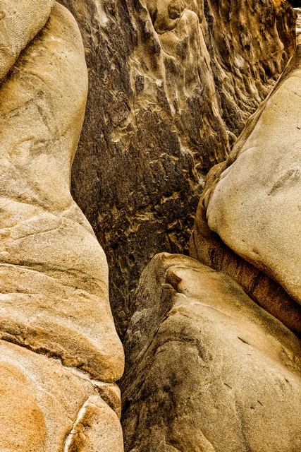 Sandstone boulders, Point Lobos State Natural Reserve, California