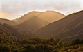 Gold and green on Glen Devon...  Big Sur, California