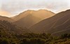 Gold and green on Glen Devon...  Big Sur, California