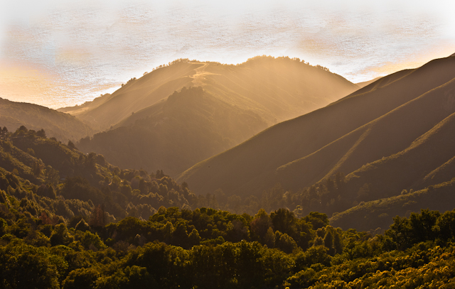 Gold and green on Glen Devon...  Big Sur, California