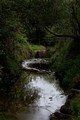 United States - California - Sacramento