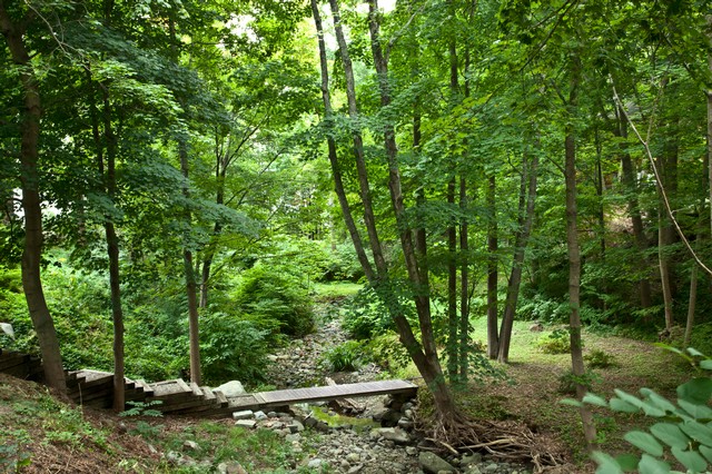 Creek and footbridge in trees, Camden, Maine