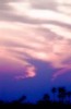Africa's lavender clouds at twilight (#1, color)... Hwange National Park, Zimbabwe