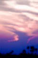 Africa's lavender clouds at twilight (#1, color)... Hwange National Park, Zimbabwe