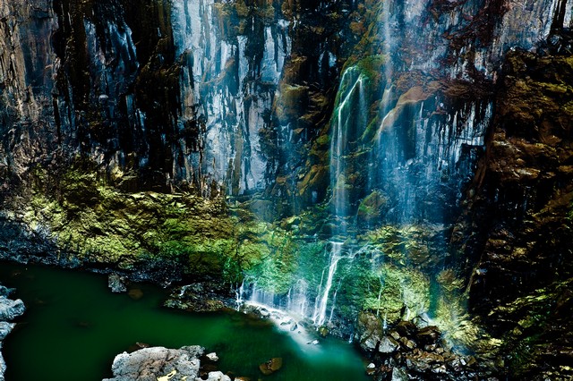 Iridescent emerald glow, Victoria Falls National Park, Zimbabwe