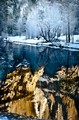 Yosemite Falls reflected in Merced River (#5, color, vertical) Yosemite National Park, California, United States